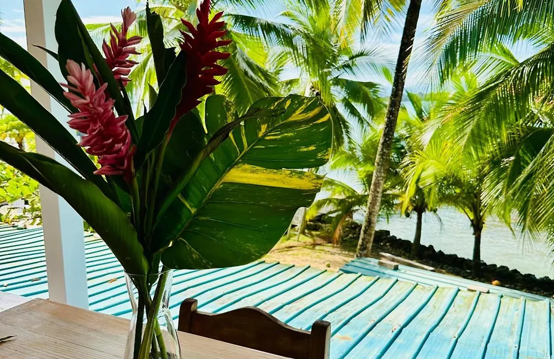 Playa Mango-1